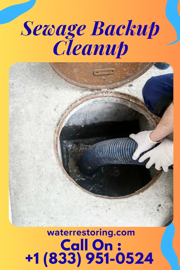 Sewage Backup Cleanup in Tuxedo Park, NY