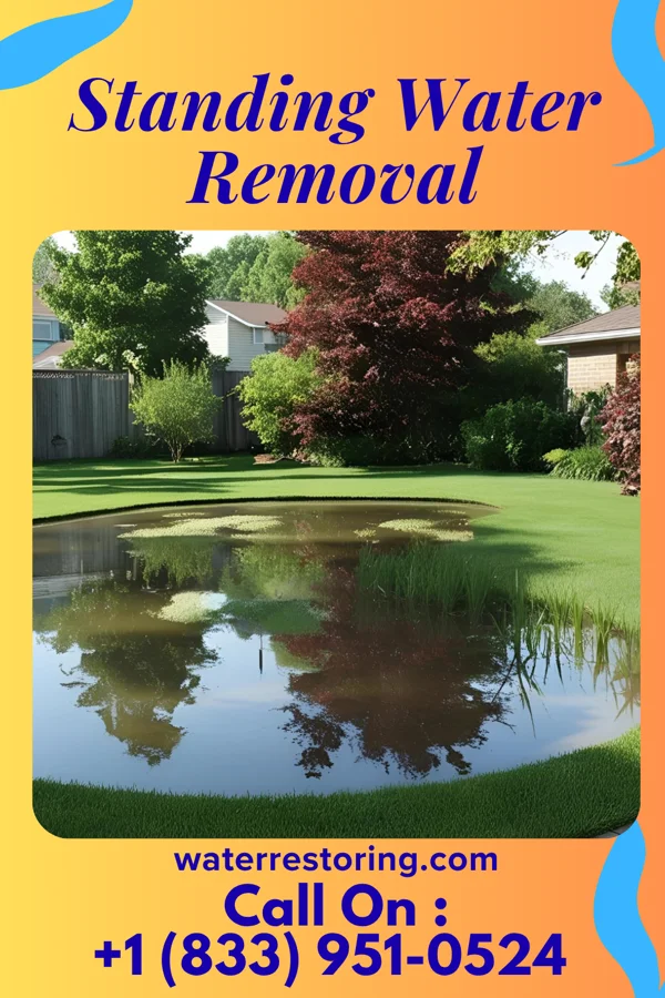 Standing Water Removal in Tuxedo Park, NY